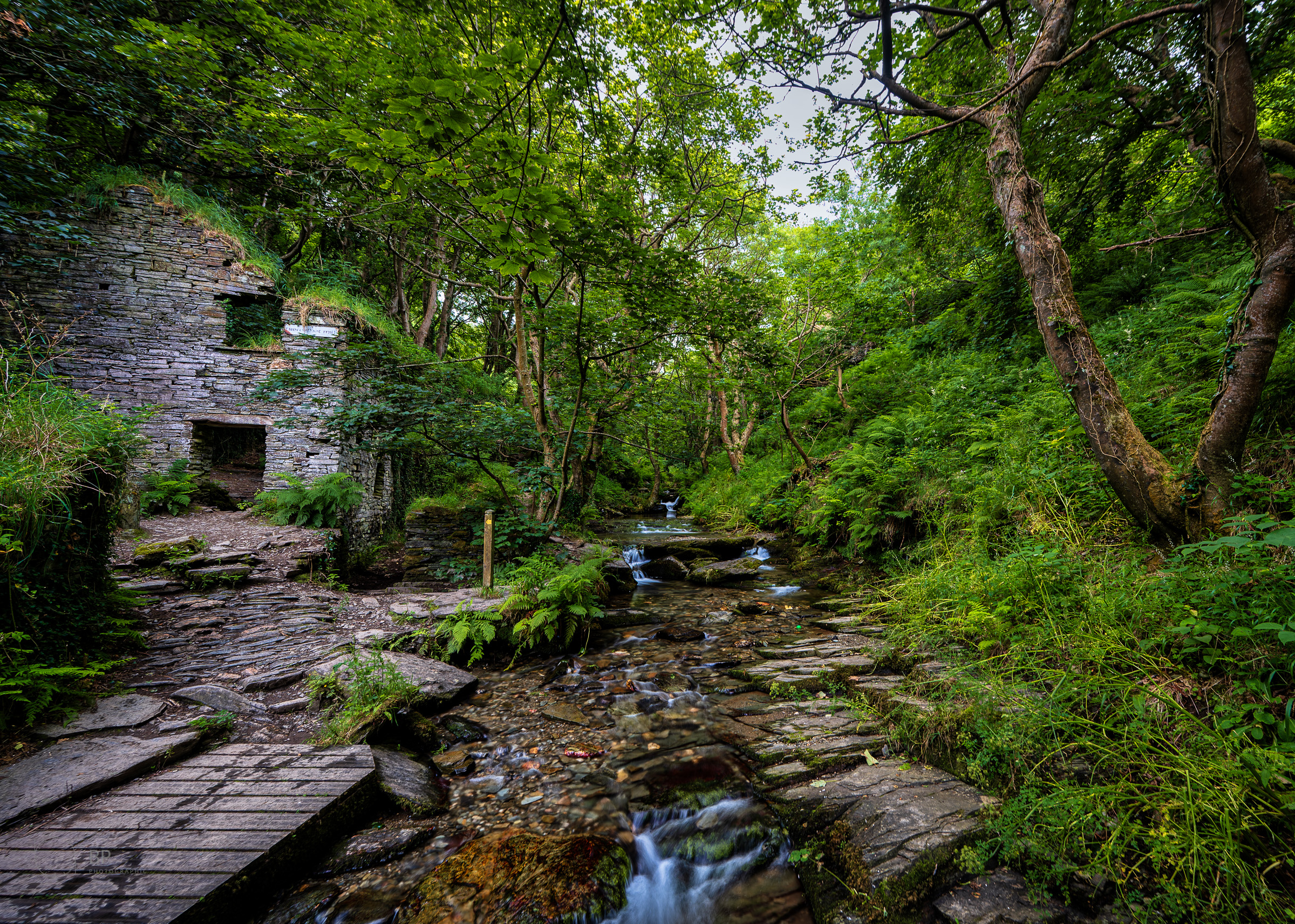 Rocky Valley old mill